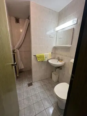 a bathroom with a toilet and a sink at Gostišče Krpan in Grosuplje