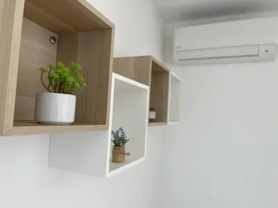 a potted plant on a shelf in a kitchen at Apartment LEON in Ljubljana