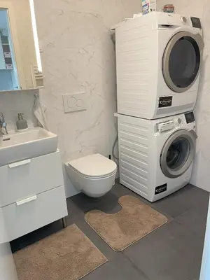 a bathroom with a toilet and a washing machine at Apartment LEON in Ljubljana