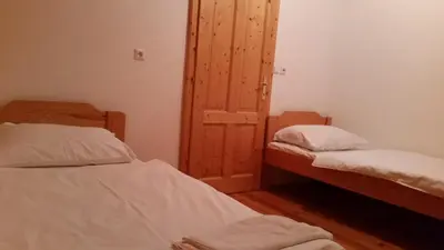 a bedroom with two beds and a door in it at Turizem Pavlin Apartments in Šenturska Gora