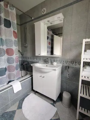 a bathroom with a white sink and a mirror at Apartment Green Oasis in Bled