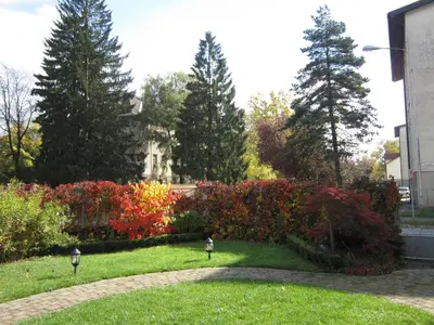 a garden with colorful bushes and trees and a building at Guest House Veronika in Kočevje