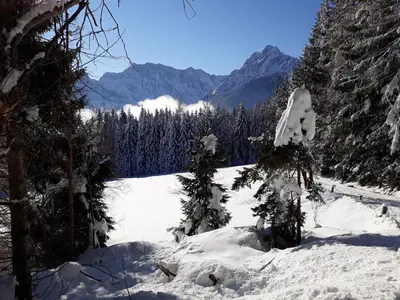 a snow covered field with trees and mountains at Apartment Jakelj in Kranjska Gora