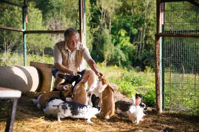 a man is feeding some rabbits and chickens at Turistična Kmetija Čebelji Gradič in Rogašovci