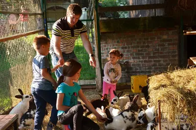 a group of children feeding goats in a barn at Turistična Kmetija Čebelji Gradič in Rogašovci