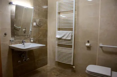 a bathroom with a sink and a toilet at Turistična Kmetija Čebelji Gradič in Rogašovci
