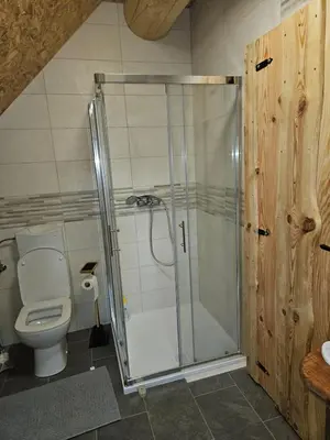 a bathroom with a shower and a toilet at Cozy house Dalija in Radovljica