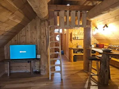 a room with a ladder and a television in a cabin at Cozy house Dalija in Radovljica