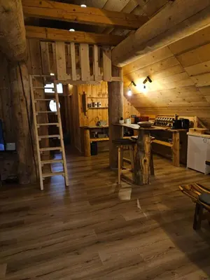 a kitchen with wooden floors and a ladder in a room at Cozy house Dalija in Radovljica