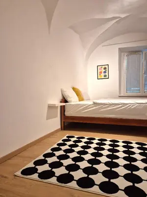 a bedroom with a bed with a black and white rug at Walter Apartment City Center in Ljubljana