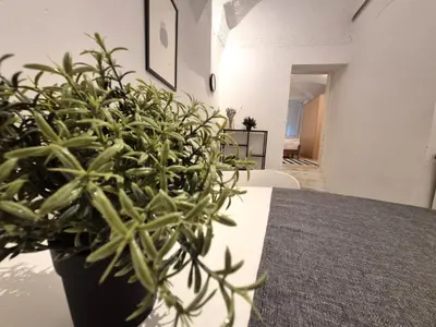 a potted plant sitting on a table in a room at Walter Apartment City Center in Ljubljana