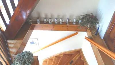 an overhead view of a staircase with plants on the wall at Marta's House in Bled