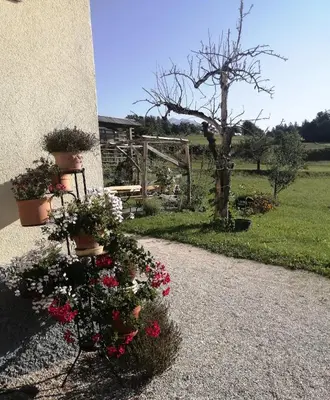 a garden with flowers in pots on a building at Marta's House in Bled