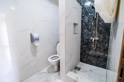 a white bathroom with a toilet and a shower at Guesthouse Siva Čaplja in Videm pri Ptuju