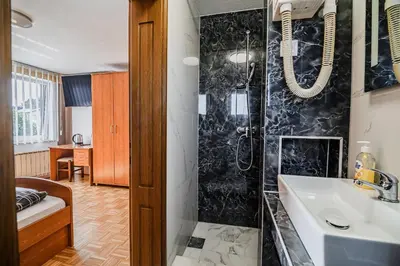 a bathroom with a shower and a sink at Guesthouse Siva Čaplja in Videm pri Ptuju
