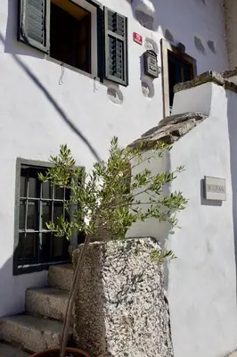 a plant in a large pot next to a building at Room for 2 - Pri B'zjak in Kobarid
