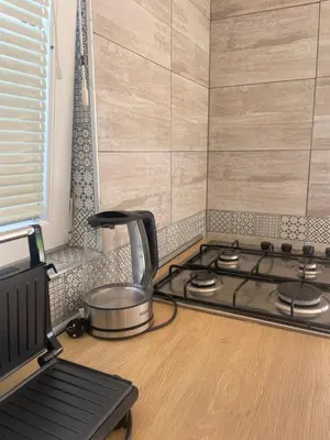 a kitchen with a stove and a counter top at Vila Malina in Gaberje
