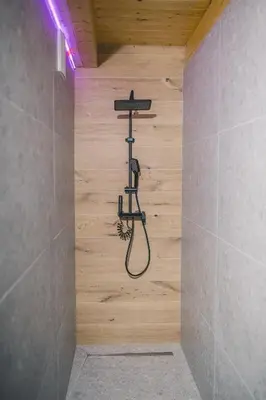 a shower in a bathroom with a wooden wall at Beg Residence in Rogaška Slatina