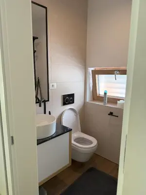 a bathroom with a toilet and a sink and a mirror at Charming house in Gozd Martuljek in Gozd Martuljek
