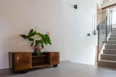 a plant in a vase on a wooden cabinet in a room at Villa Sofija in Kojsko