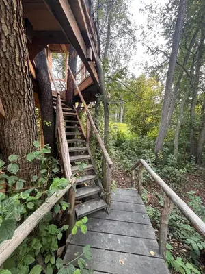 a wooden staircase leading up to a tree house at Tree house - Ethno holistic village Apače in Apače