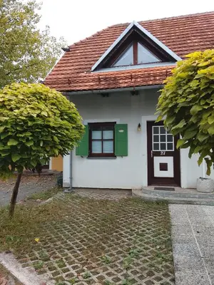 a white house with a green door and a tree at Emma's Holiday Home in Brežice