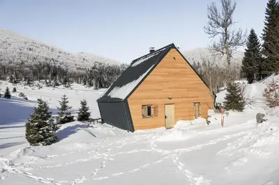 a large wooden cabin in the snow with trees at Chalet Aurora