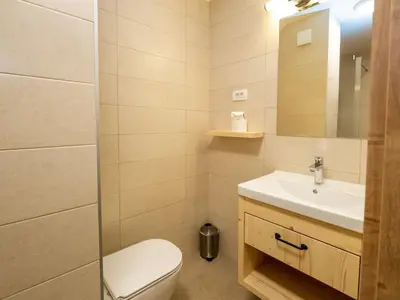 a bathroom with a toilet and a sink and a mirror at The Woodland Nook Apartments Bohinj - One Bedroom Apartment with Balcony in Bohinj