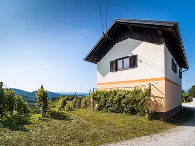 a house with a window on the side of it at Serene Hollow Holiday Home with Mountain View - Two Bedroom Holiday Home with Mountain View in Cerklje ob Krki