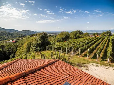 a view of a vineyard from the roof of a house at Serene Hollow Holiday Home with Mountain View - Two Bedroom Holiday Home with Mountain View in Cerklje ob Krki