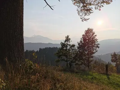 a view of the mountains from a hill with a tree at Mountain View Villa with Sauna and Hot-Tub - Three Bedroom Villa with Sauna and Hot-Tub in Slovenj Gradec