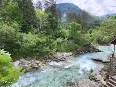 a river in the middle of a forest at Bovec Comfortable Apartment with Mountain View - One Bedroom Apartment with Mountain View in Bovec