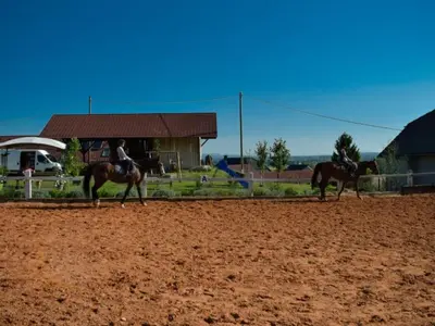 two people riding horses on a dirt field at One Bedroom Apartment in Brežice