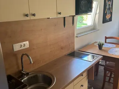 a kitchen with a sink and a wooden counter top at Meadow Tranquil Apartments with Evergreen Garden - Studio Apartment in Žirovnica