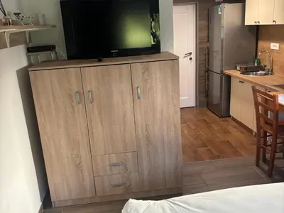a kitchen with a tv on top of a wooden cabinet at Meadow Tranquil Apartments with Evergreen Garden - Studio Apartment in Žirovnica