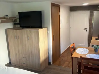 a living room with a television on top of a cabinet at Meadow Tranquil Apartments with Evergreen Garden - Studio Apartment in Žirovnica