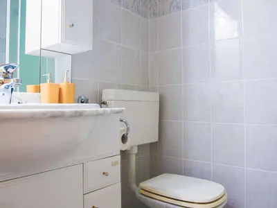 a bathroom with a toilet and a sink at Rustic Authentic Holiday Home with Terrace and Wood Stove - Three Bedroom Holiday Home with Terrace in Ljubno