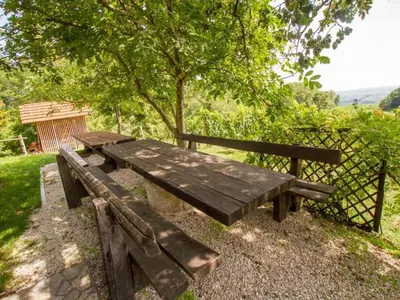 a wooden bench sitting in the grass under a tree at Rustic Charm Cottage Country House with Sauna - Five Bedroom Holiday Home with Sauna in Bizeljsko