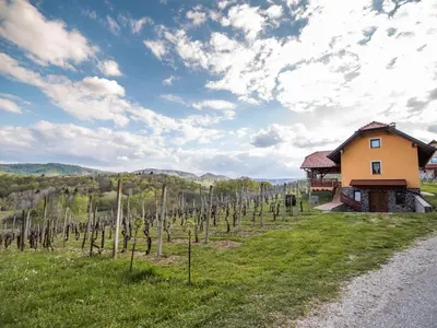 a vineyard with a house and a field of vines at One Bedroom Holiday Home with Terrace and Garden in Krška Vas