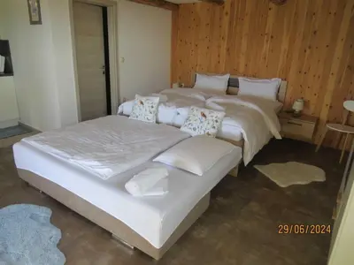 two twin beds in a room with wooden walls at Mountain Vibrant and Timeless Apartment with Sauna - Studio Apartment with Terrace in Dravograd