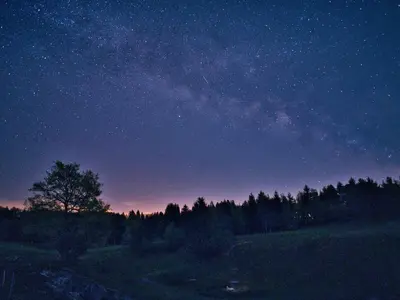 a starry night with a tree in a field at Visnja Gora Meadow Hideaway with Terrace - One Bedroom Cottage with Terrace in Višnja Gora