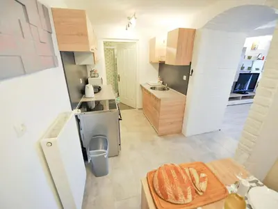 a small kitchen with a sink and a refrigerator at Relax and Rustic Apartments with Terrace - Classic One Bedroom Apartment with Terrace in Brežice
