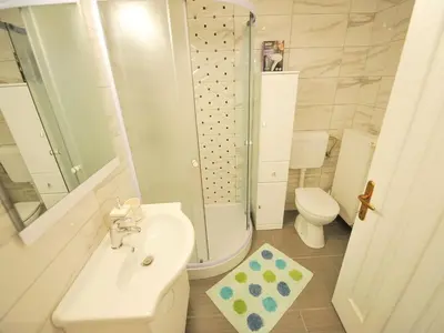 a bathroom with a shower and a sink and a toilet at Relax and Rustic Apartments with Terrace - Classic One Bedroom Apartment with Terrace in Brežice