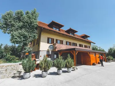a man standing in front of a building with potted plants at Relax and Rustic Apartments with Terrace - Classic One Bedroom Apartment with Terrace in Brežice