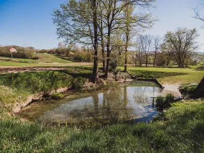 a small pond in a field with a tree in it at Cozy Luxe Holiday Home with Natural Thermal Bath - Seven Bedroom Holiday Home in Cerklje ob Krki