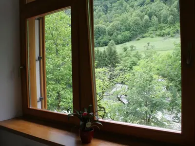 a window with a potted plant sitting on a window sill at Riverside Rustic Ridge Apartments with Balcony - Two Bedroom Apartment with Balcony in Slappe dʼIdria