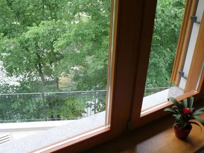 a window with a potted plant sitting next to it at Riverside Rustic Ridge Apartments with Balcony - Two Bedroom Apartment with Balcony in Slappe dʼIdria