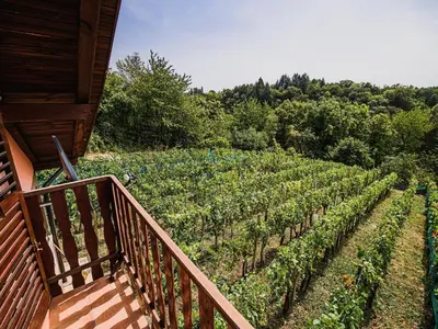 a balcony view of a vineyard with trees and bushes at Harvest Horizon Holiday Home with Sauna - One Bedroom Holiday Home in Brežice