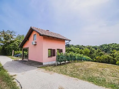 a small pink house on a hill with vines at Harvest Horizon Holiday Home with Sauna - One Bedroom Holiday Home in Brežice