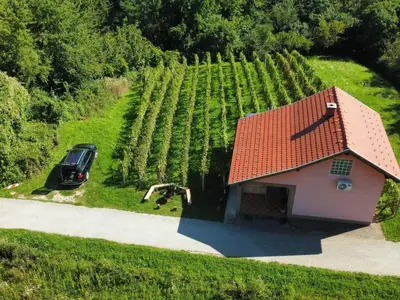 a car parked next to a small house next to a vineyard at Harvest Horizon Holiday Home with Sauna - One Bedroom Holiday Home in Brežice